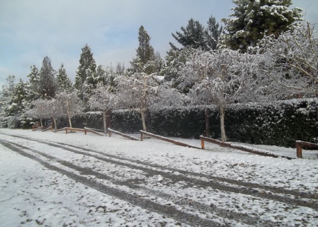 Excelente Complejo de Cabañas en Lago Puelo