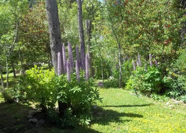 Excelente Complejo de Cabañas en Lago Puelo