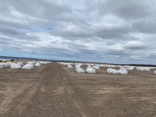 Planta Cerámica San Lorenzo 