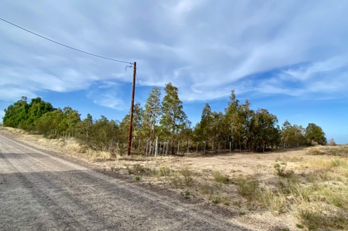 OPORTUNIDAD - Excelente terreno de 2 ha