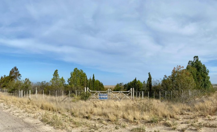 OPORTUNIDAD - Excelente terreno de 2 ha