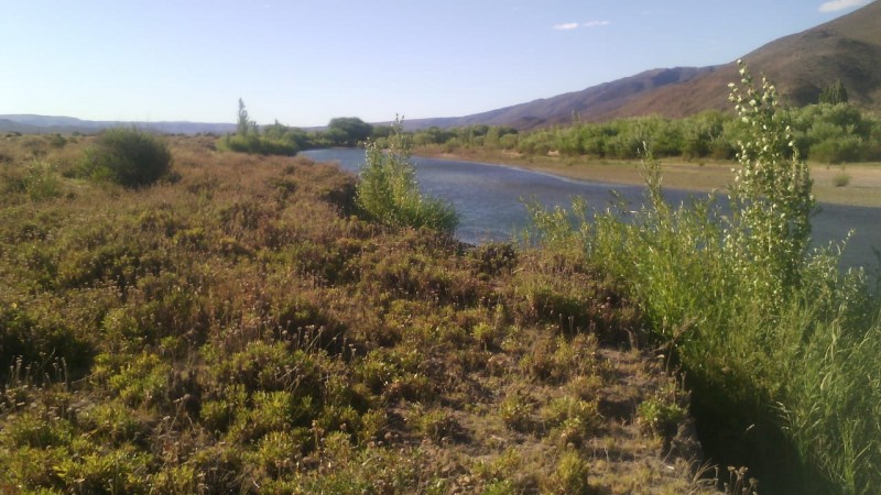 Hectárea frente al río