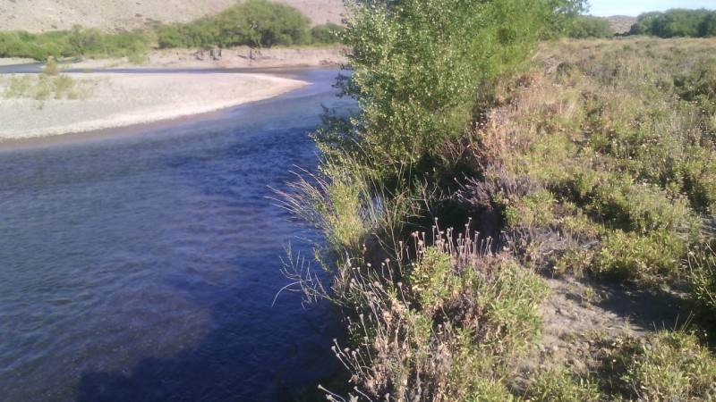 Hectárea frente al río