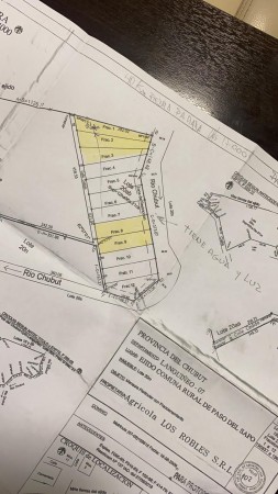 Hectárea frente al río