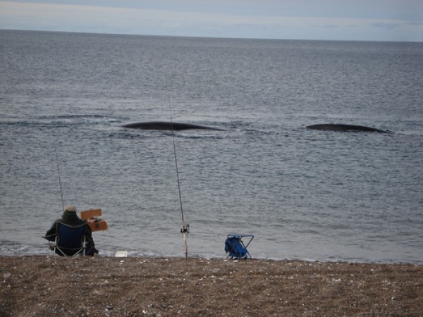 ¿Estas buscando un Proyecto Distinto? Te ofrecemos un Delta en la costa del Mar. ESCRITURA