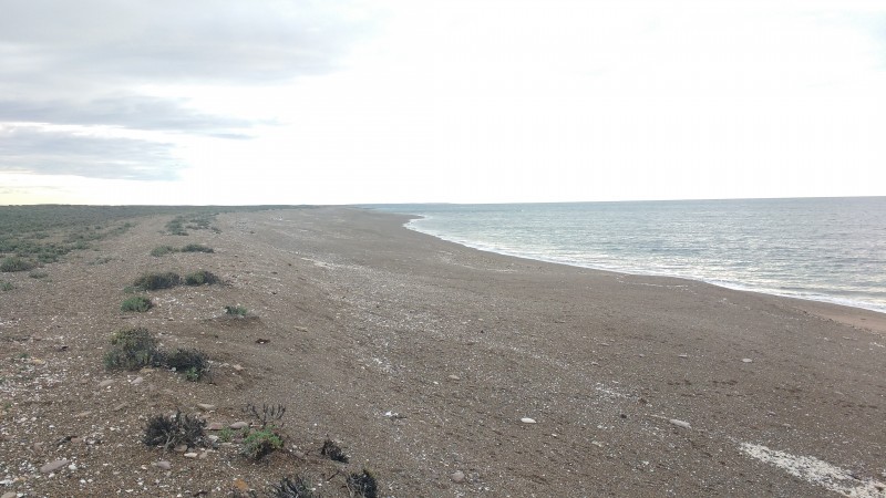 ¿Estas buscando un Proyecto Distinto? Te ofrecemos un Delta en la costa del Mar. ESCRITURA