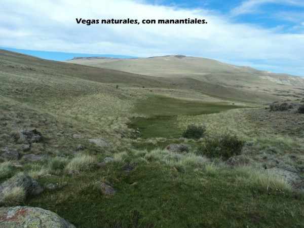 Excelente campo 10.000 Has en Calafate