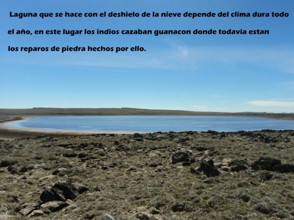 Excelente campo 10.000 Has en Calafate