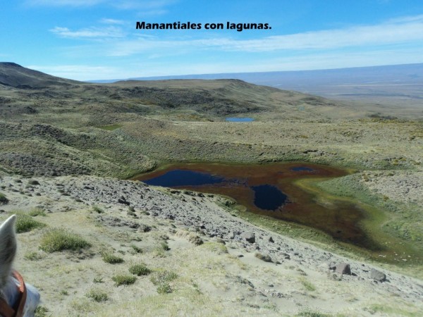 Excelente campo 10.000 Has en Calafate