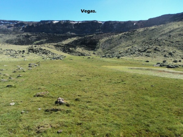 Excelente campo 10.000 Has en Calafate