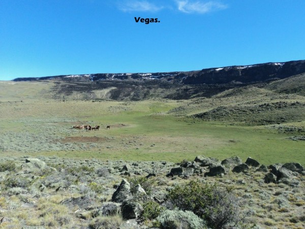 Excelente campo 10.000 Has en Calafate