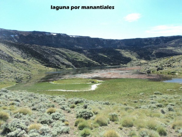 Excelente campo 10.000 Has en Calafate