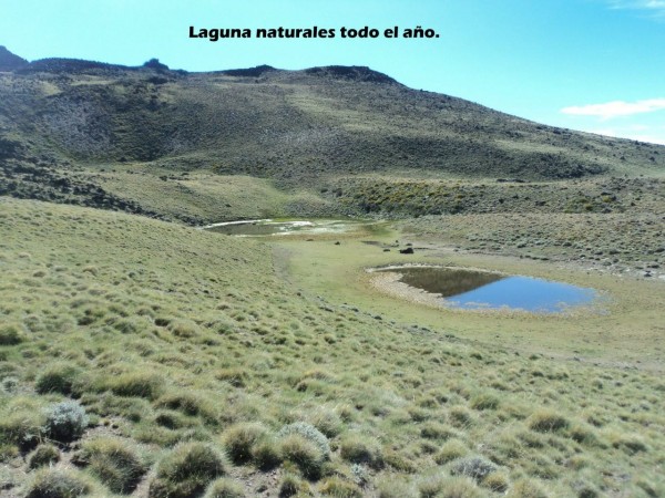 Excelente campo 10.000 Has en Calafate