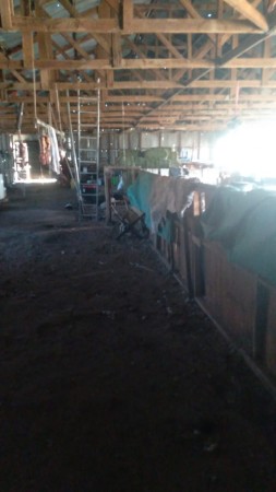 Excelente campo 10.000 Has en Calafate