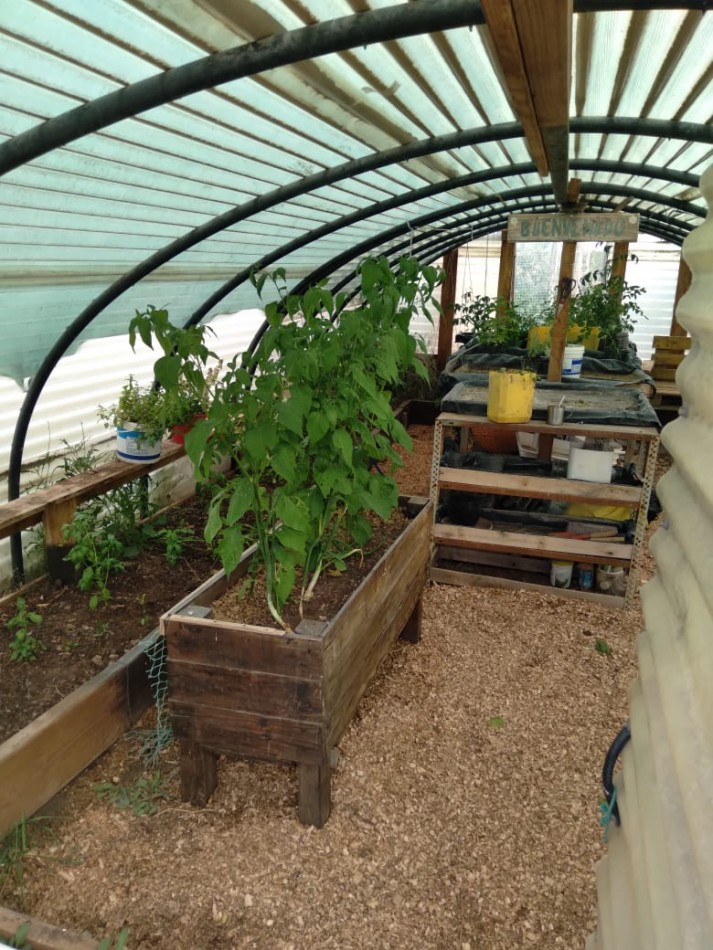 EMPRENDIMIENTO PRODUCTIVO FUNCIONANDO 