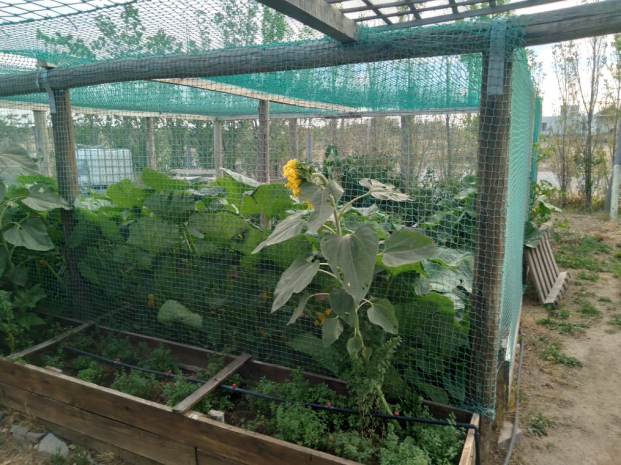 EMPRENDIMIENTO PRODUCTIVO FUNCIONANDO 