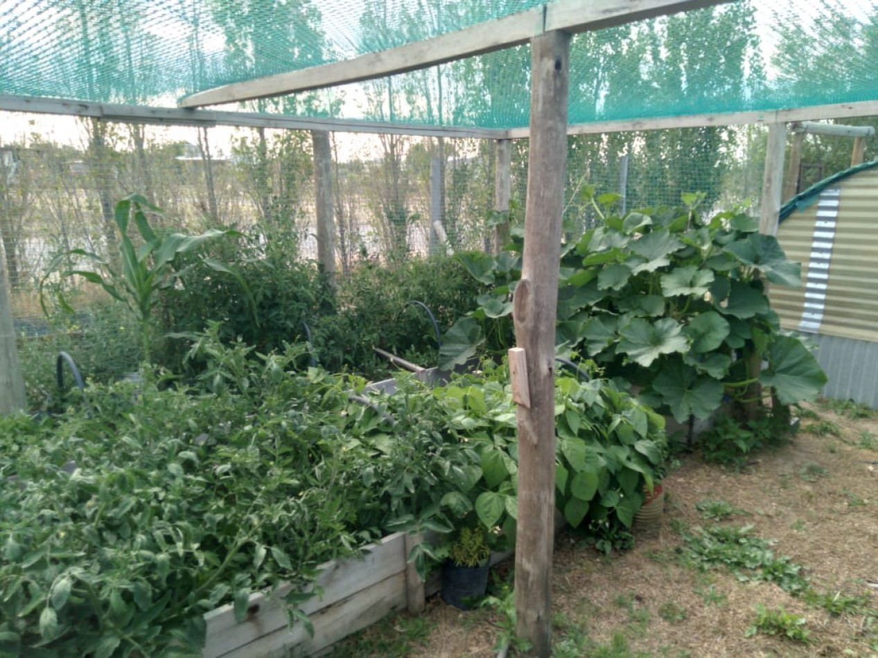 EMPRENDIMIENTO PRODUCTIVO FUNCIONANDO 