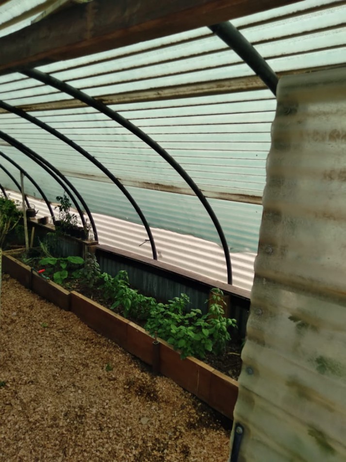 EMPRENDIMIENTO PRODUCTIVO FUNCIONANDO 