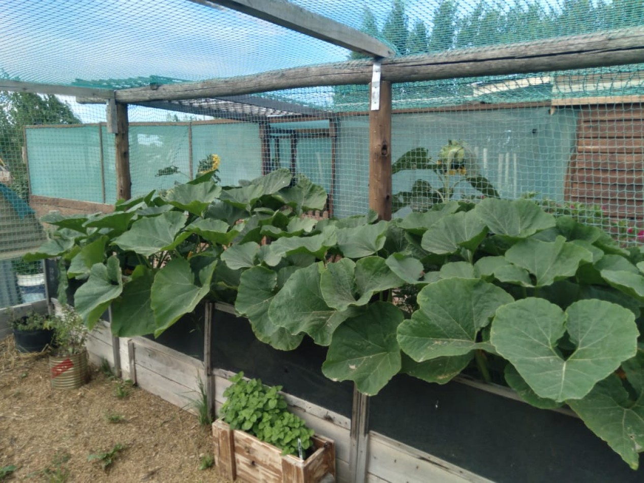 EMPRENDIMIENTO PRODUCTIVO FUNCIONANDO 