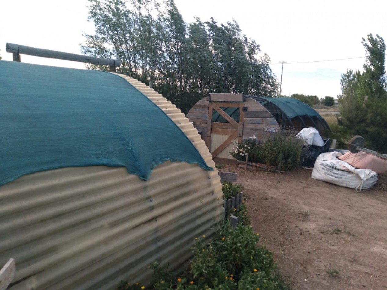 EMPRENDIMIENTO PRODUCTIVO FUNCIONANDO 