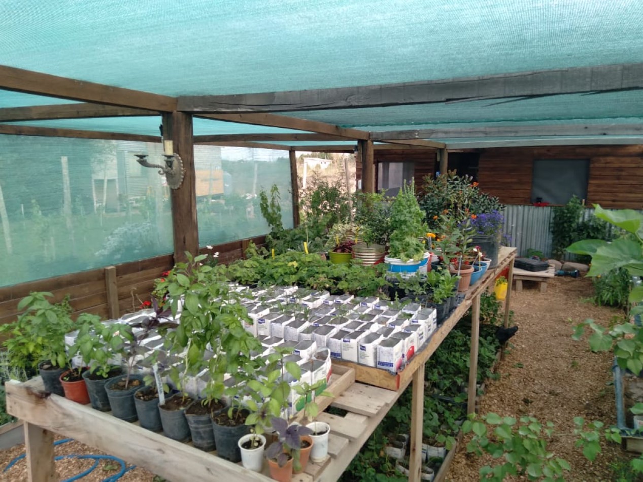 EMPRENDIMIENTO PRODUCTIVO FUNCIONANDO 