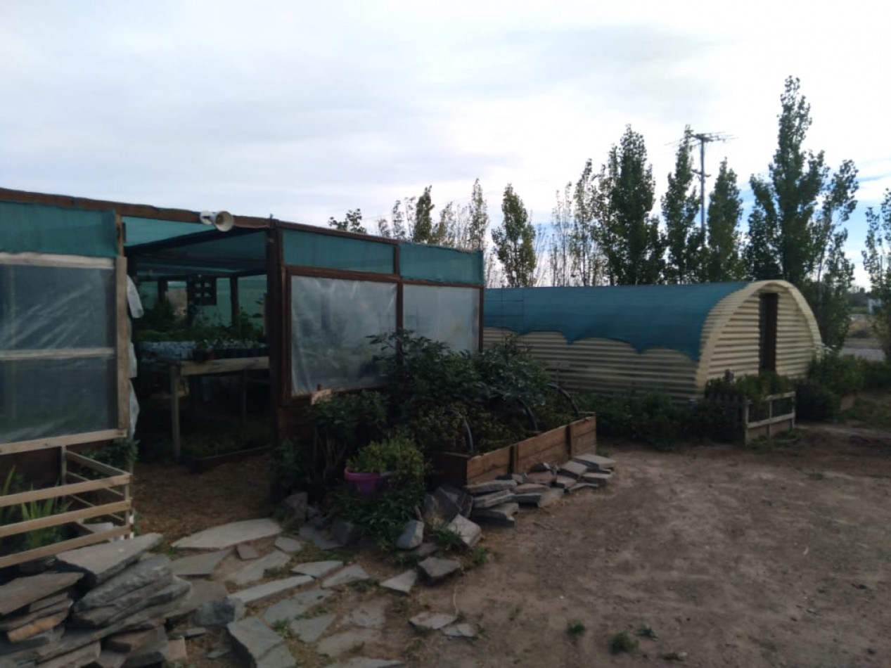 EMPRENDIMIENTO PRODUCTIVO FUNCIONANDO 