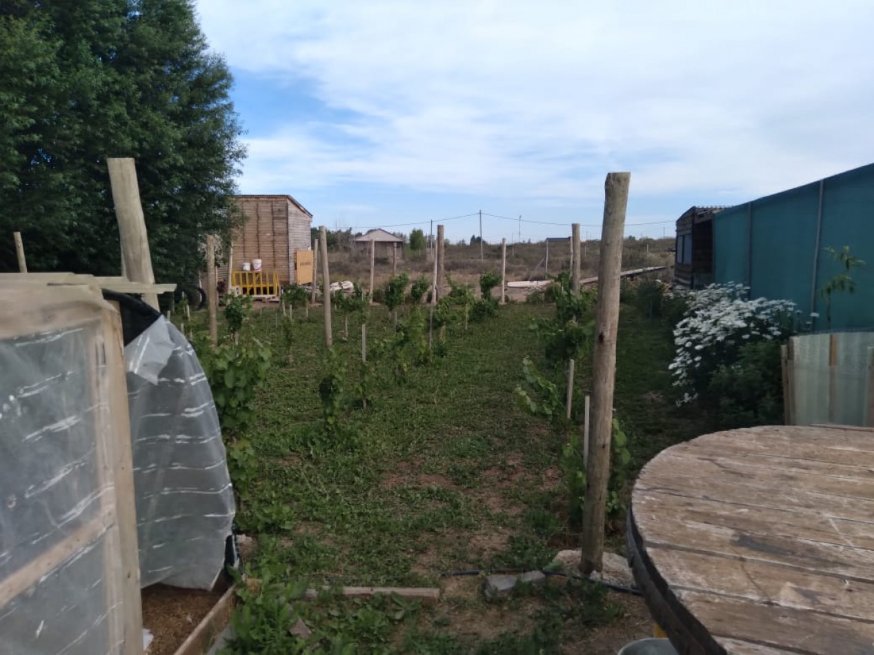 EMPRENDIMIENTO PRODUCTIVO FUNCIONANDO 