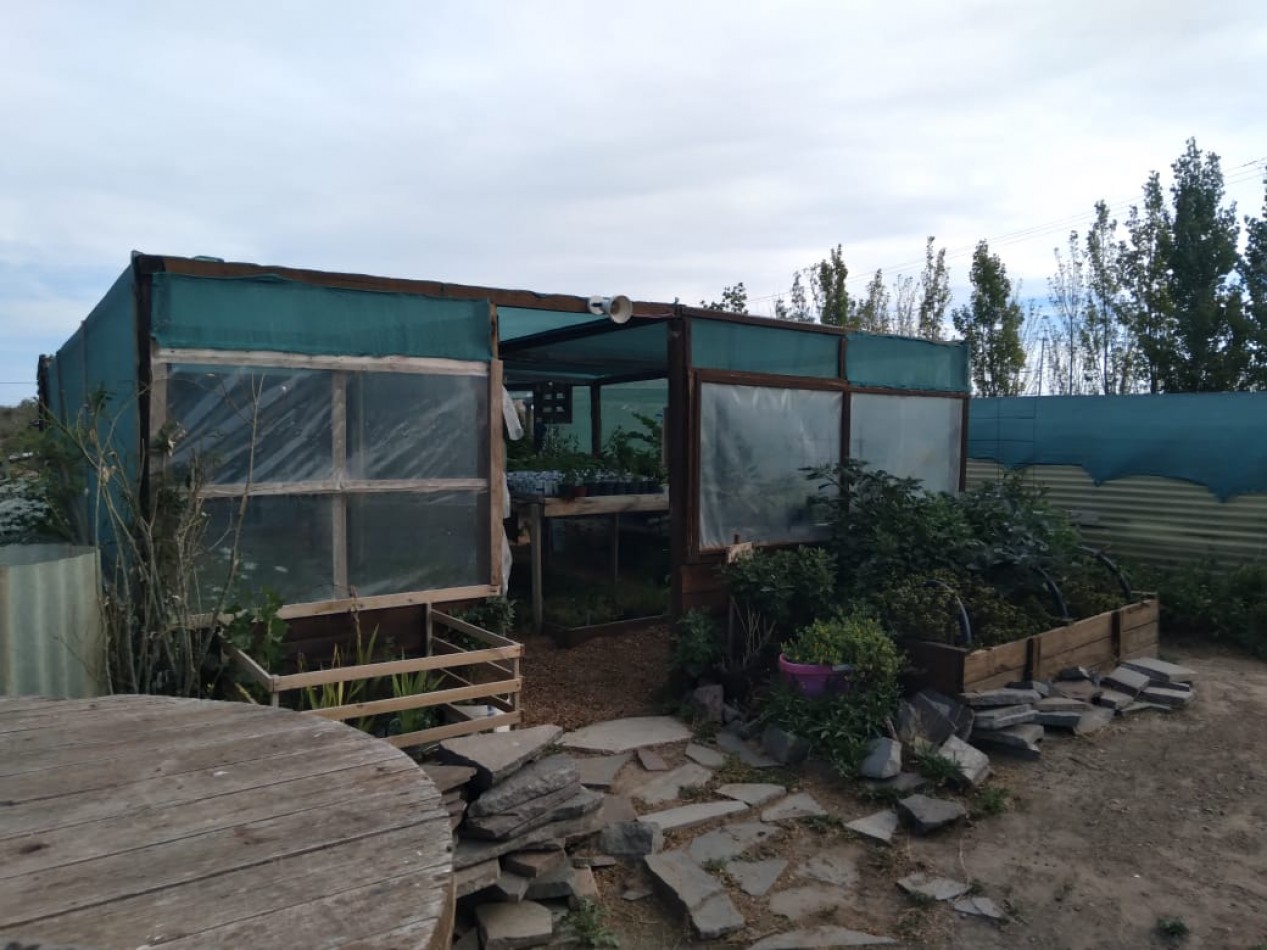 EMPRENDIMIENTO PRODUCTIVO FUNCIONANDO 