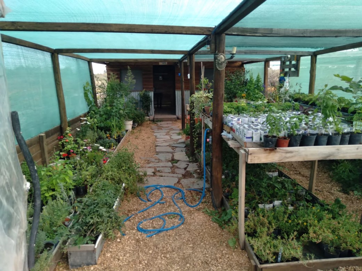 EMPRENDIMIENTO PRODUCTIVO FUNCIONANDO 