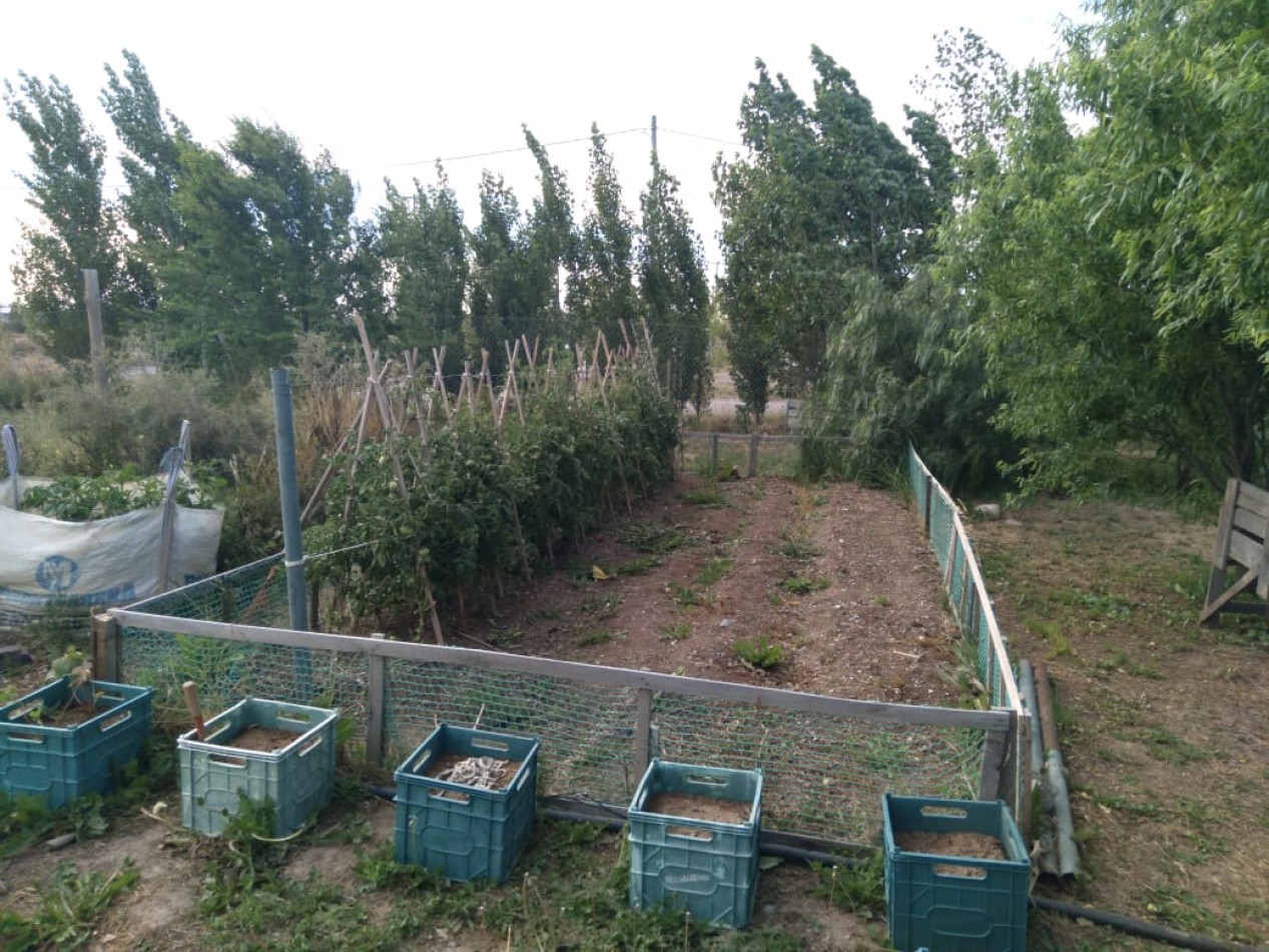 EMPRENDIMIENTO PRODUCTIVO FUNCIONANDO 