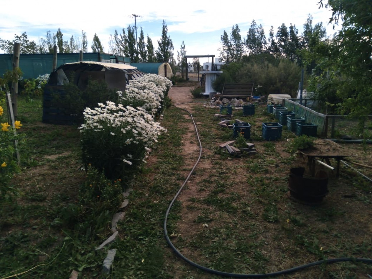 EMPRENDIMIENTO PRODUCTIVO FUNCIONANDO 