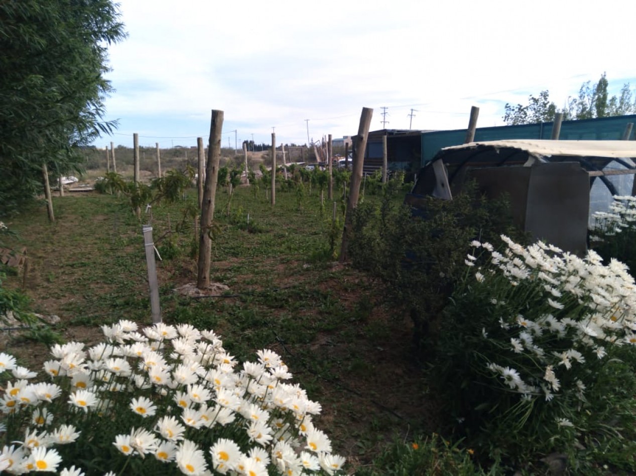 EMPRENDIMIENTO PRODUCTIVO FUNCIONANDO 