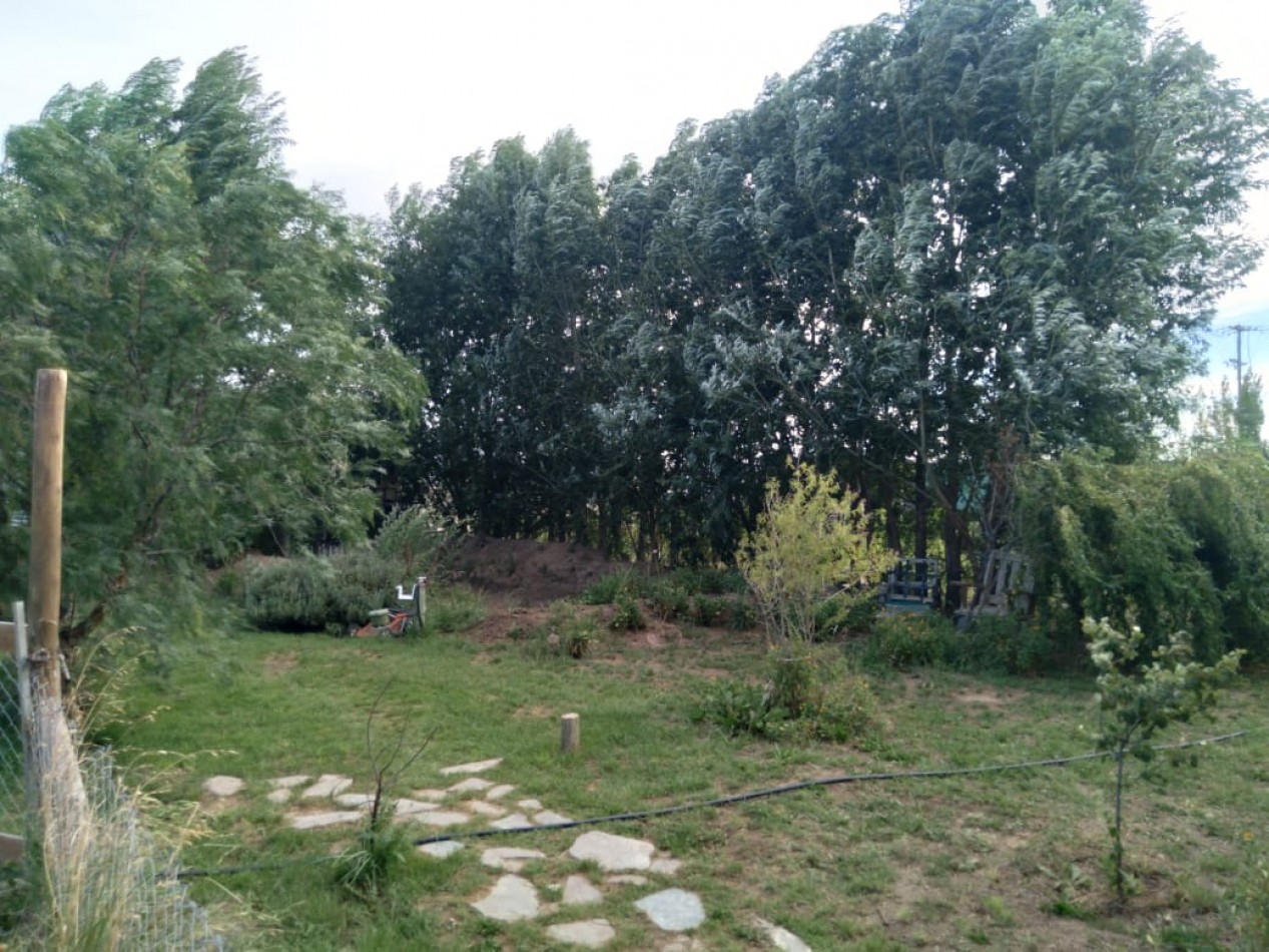 EMPRENDIMIENTO PRODUCTIVO FUNCIONANDO 