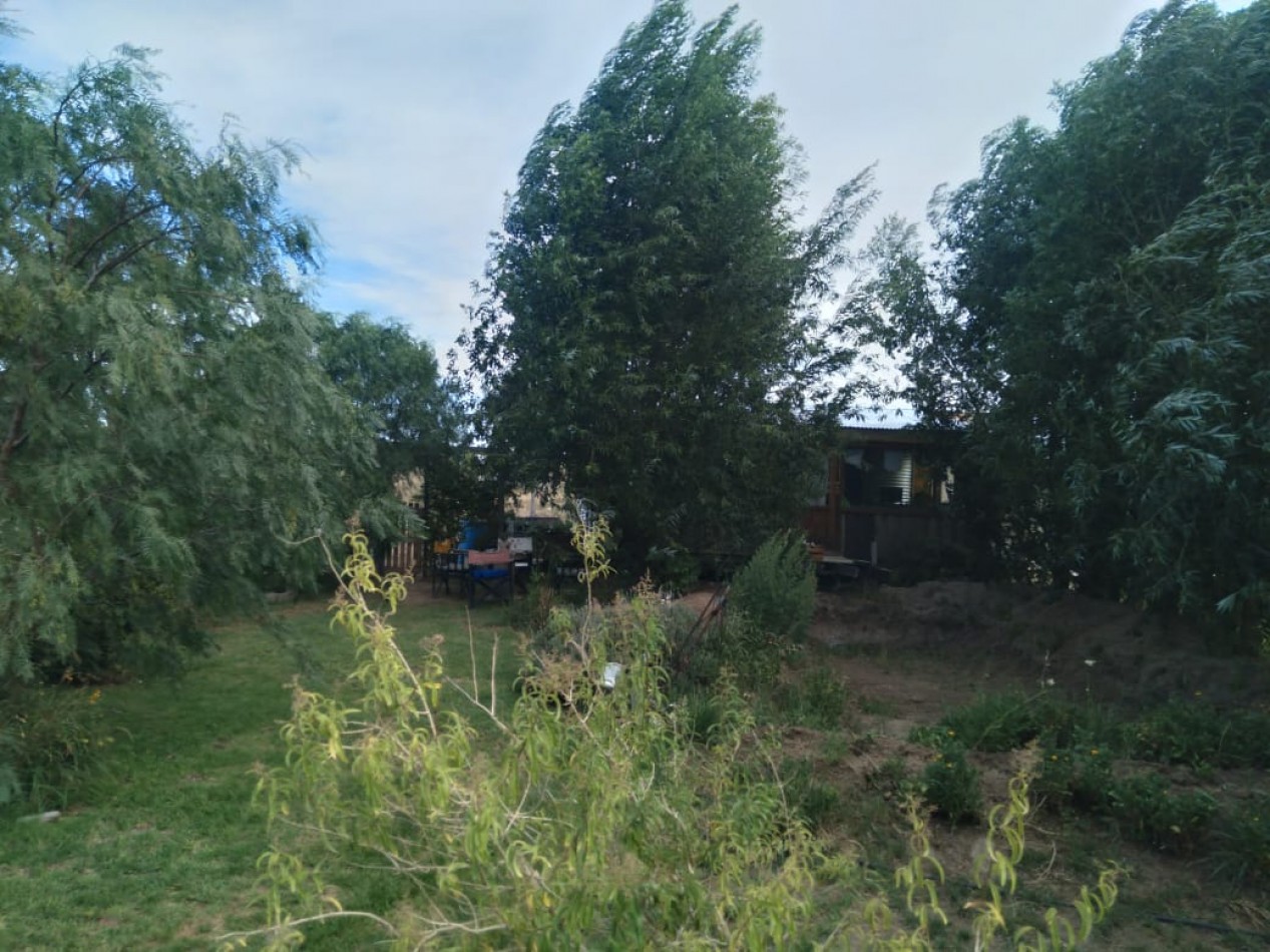 EMPRENDIMIENTO PRODUCTIVO FUNCIONANDO 