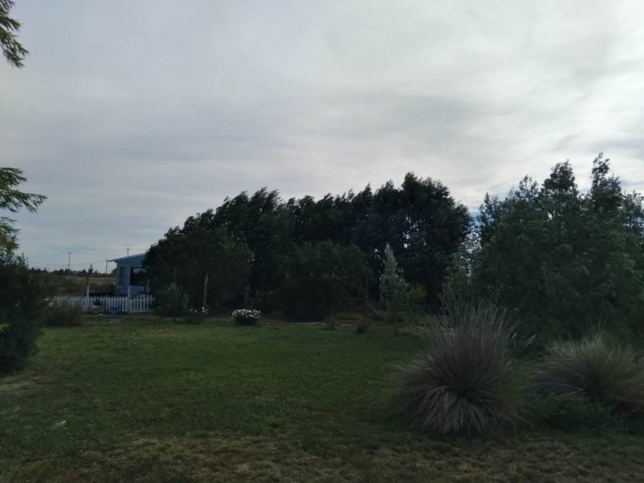 EMPRENDIMIENTO PRODUCTIVO FUNCIONANDO 