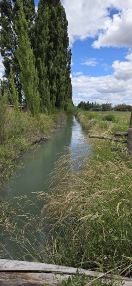 CHACRA 5,8 HAS CON COSTA DE RIO EN GAIMAN