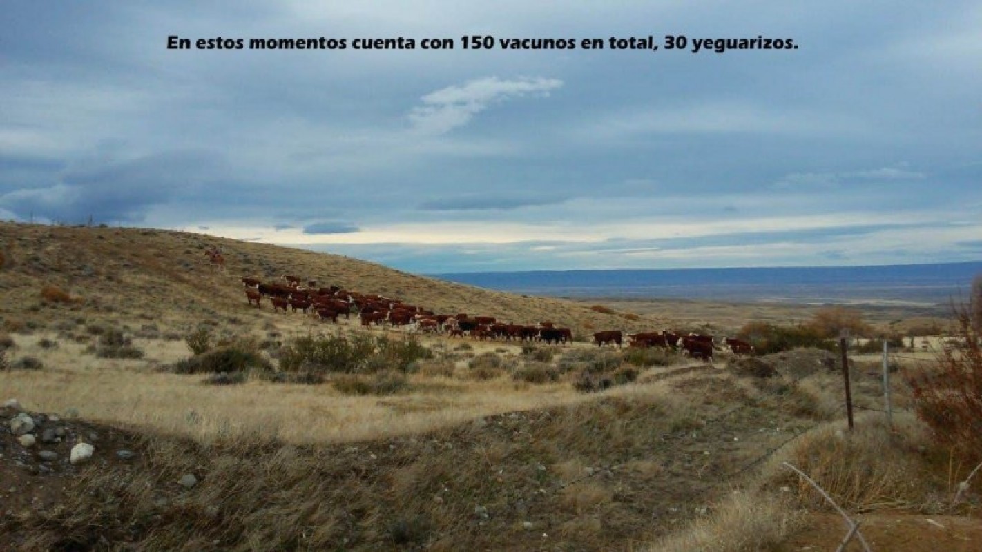 Excelente campo 10.000 Has en Calafate