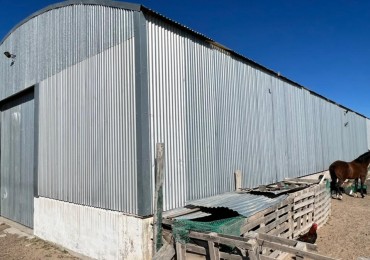 Galpon 450 m² Parque Industrial MEGA MADRYN